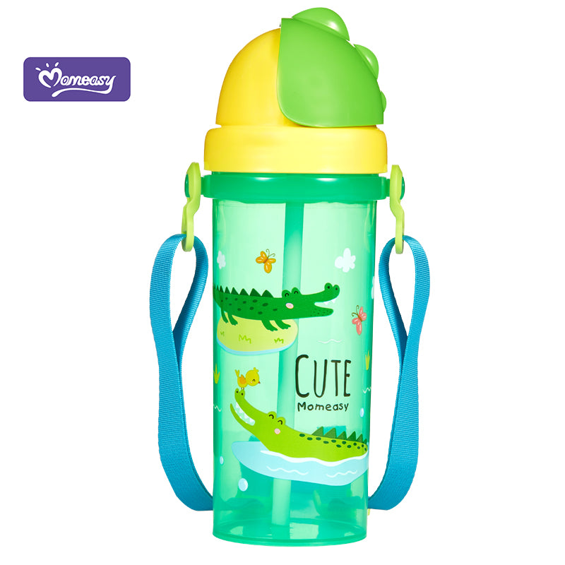 Momeasy Water Bottle with Straw 450ml