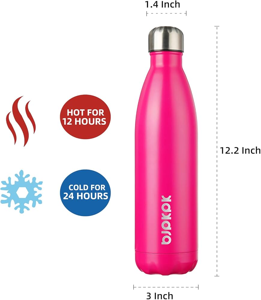 BJPKPK Insulated Water Bottles Stainless Steel Metal Water Bottle 530ml