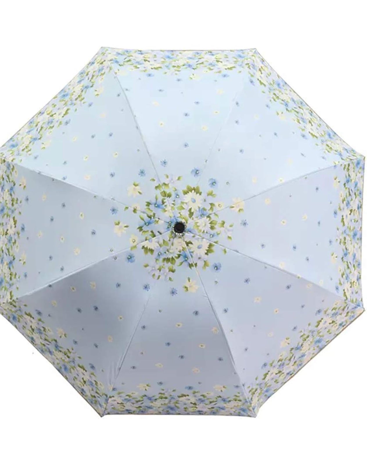 Umbrella