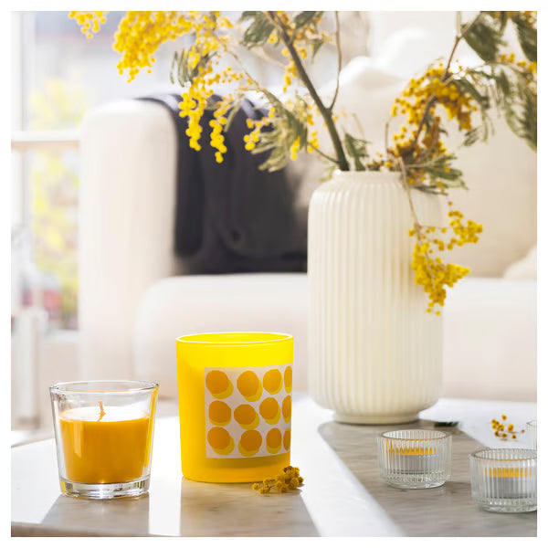 Svartoxbar Scented Mimosa Candle 20h
