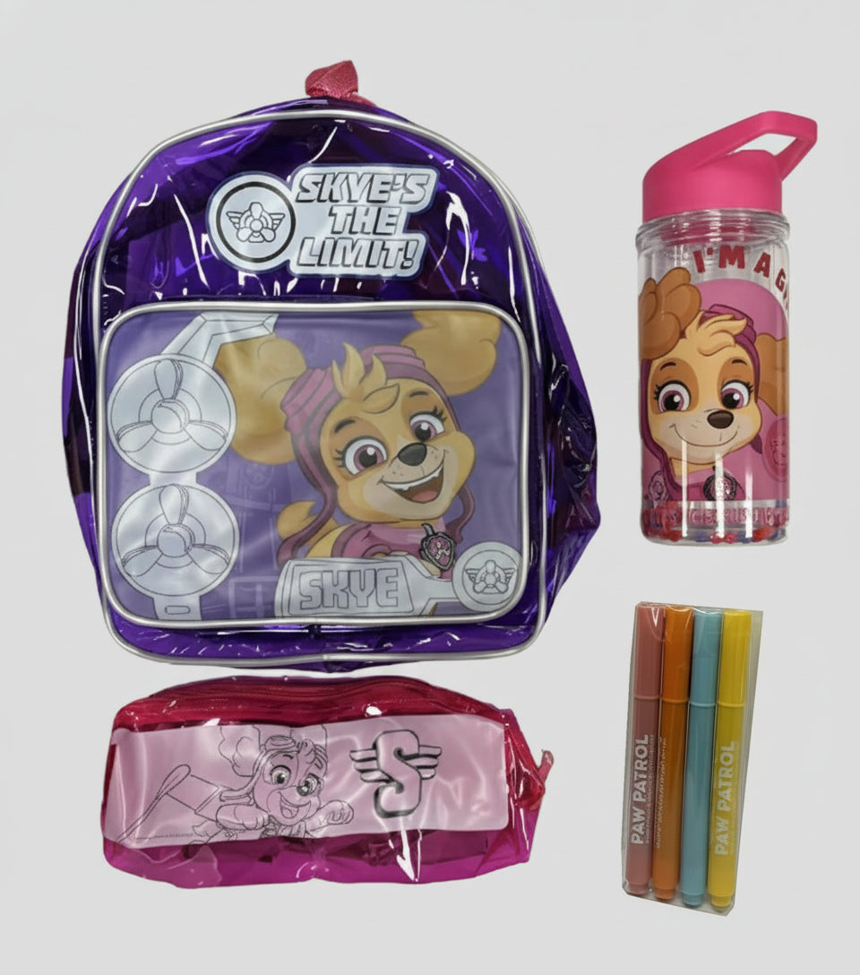 Paw Patrol Colour your own accessory set