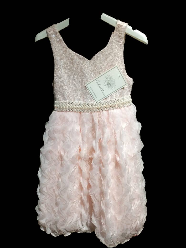 American Princess Dresses Girls Kids' Closets  3years - kids fashion product photo