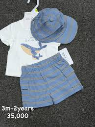 Cute Koala Baby 3 piece Set (Shorts, T-shirt & Cap)