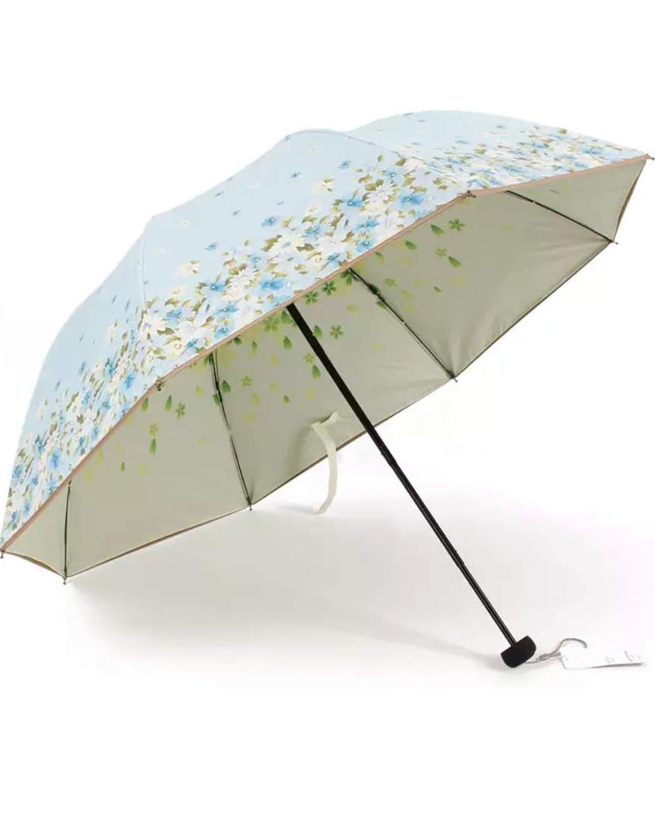 Umbrella