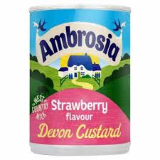 Ambrosia Strawberry Devon Custard 400g